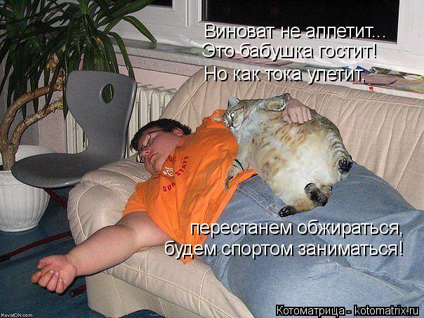 Котоматрица: Виноват не аппетит... Это бабушка гостит! Но как тока улетит, перестанем обжираться,  будем спортом заниматься!