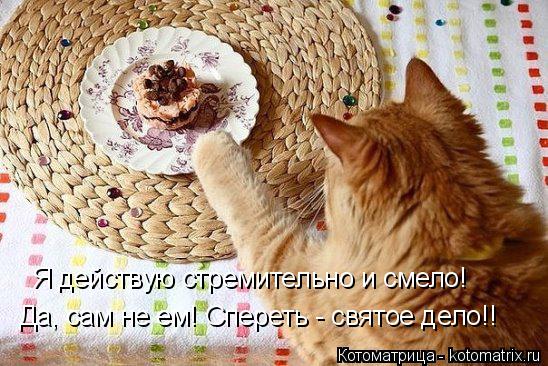 Котоматрица: Я действую стремительно и смело! Да, сам не ем! Спереть - святое дело!!