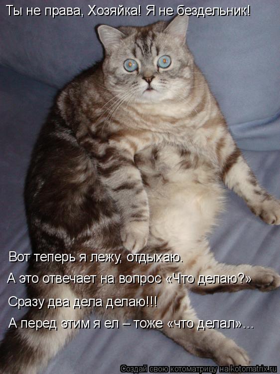 Котоматрица: Ты не права, Хозяйка! Я не бездельник! Вот теперь я лежу, отдыхаю.  А это отвечает на вопрос «Что делаю?» Сразу два дела делаю!!! А перед этим я е