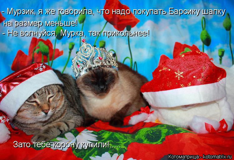 Котоматрица: - Мурзик, я же говорила, что надо покупать Барсику шапку  на размер меньше! - Не волнуйся, Мурка, так прикольнее! Зато тебе корону купили!.....