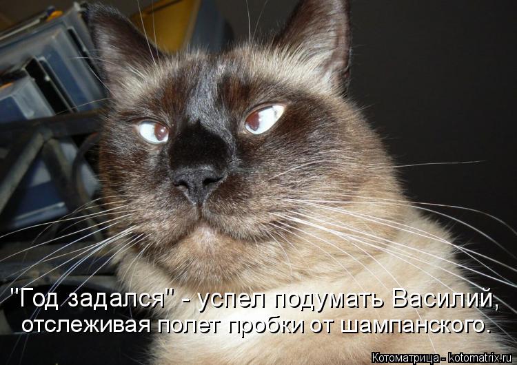 "Год задался" - успел подумать Василий, отслеживая полет пробки от шампанского.... Котоматрица: "Год задался" - успел подумать Василий, отслеживая полет пробки от шампанского.