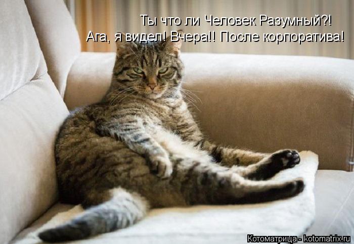 Котоматрица: Ты что ли Человек Разумный?! Ага, я видел! Вчера!! После корпоратива!