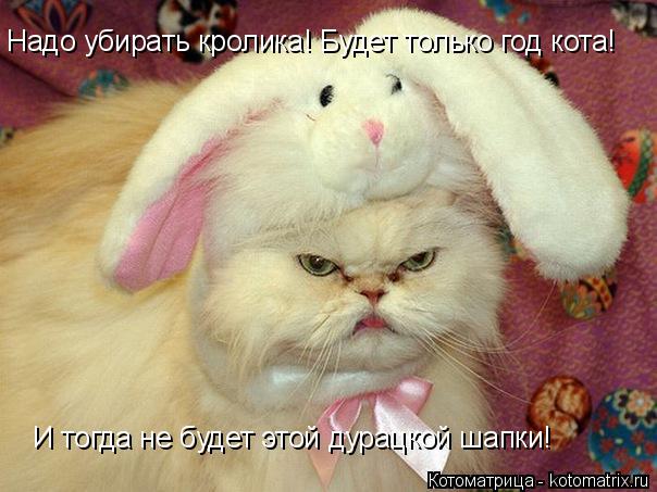 Котоматрица: Надо убирать кролика! Будет только год кота! И тогда не будет этой дурацкой шапки!