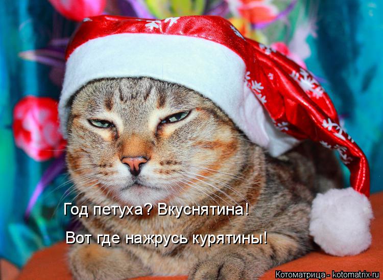 Год петуха? Вкуснятина! Вот где нажрусь курятины!... Котоматрица: Год петуха? Вкуснятина! Вот где нажрусь курятины!