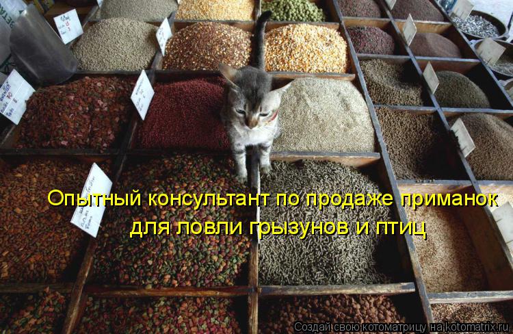 Котоматрица: Опытный консультант по продаже приманок для ловли грызунов и птиц