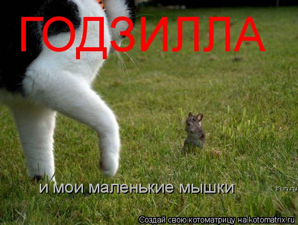 Котоматрица: ГОДЗИЛЛА и мои маленькие мышки