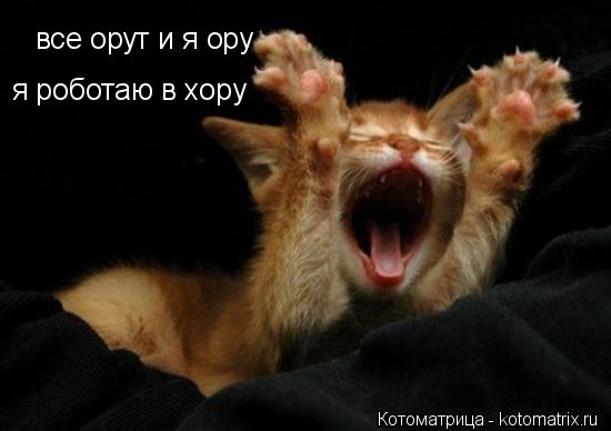 Котоматрица: все орут и я ору я роботаю в хору