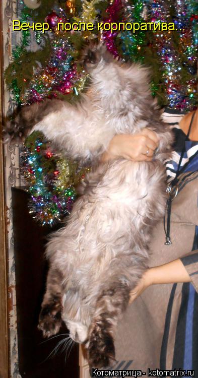 Котоматрица: Вечер, после корпоратива...