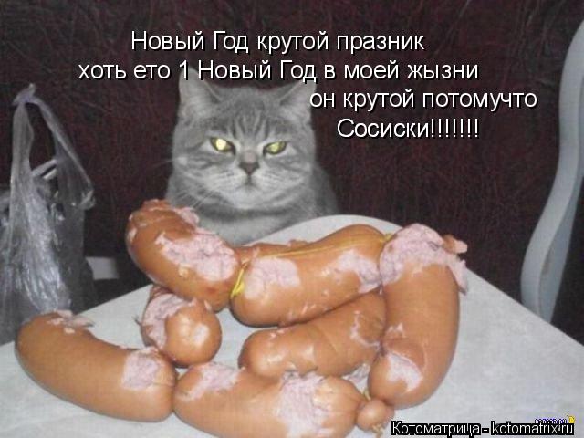 Котоматрица: Новый Год крутой празник хоть ето 1 Новый Год в моей жызни он крутой потомучто Сосиски!!!!!!! Сосиски!!!!!!!