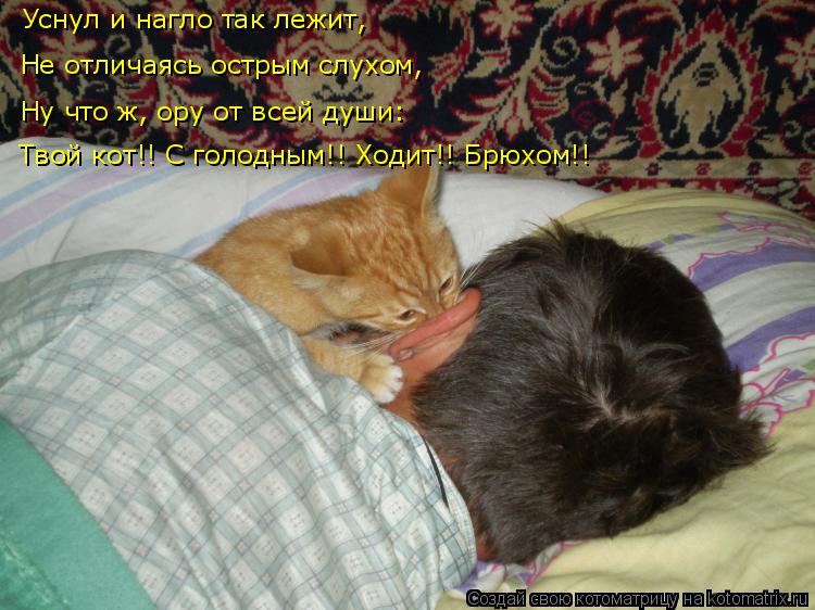 Уснул и нагло так лежит, Не отличаясь острым слухом, Ну что ж, ору от всей души: Твой кот!! С голодны... Котоматрица: Уснул и нагло так лежит, Не отличаясь острым слухом, Ну что ж, ору от всей души: Твой кот!! С голодным!! Ходит!! Брюхом!!