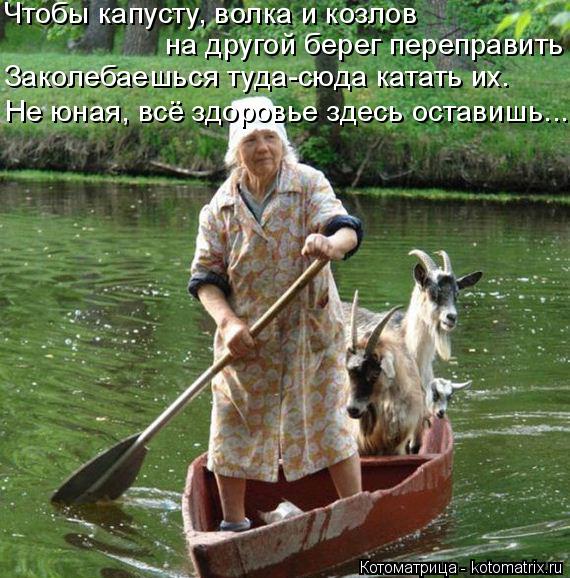 Котоматрица: Чтобы капусту, волка и козлов на другой берег переправить Заколебаешься туда-сюда катать их. Не юная, всё здоровье здесь оставишь...