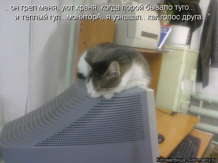 Котоматрица: .. он грел меня, уют храня, когда порой бывало туго...  и тёплый гул...мониторА, я узнавал.. как голос друга..."