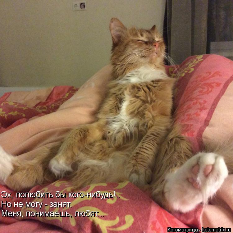 Котоматрица: Эх, полюбить бы кого-нибудь!.. Но не могу - занят. Меня, понимаешь, любят...