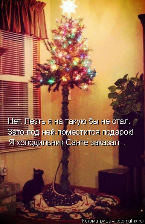Нет. Лезть я на такую бы не стал. Зато под ней поместится подарок! Я холодильник Санте заказал...... Котоматрица: Нет. Лезть я на такую бы не стал. Зато под ней поместится подарок! Я холодильник Санте заказал...
