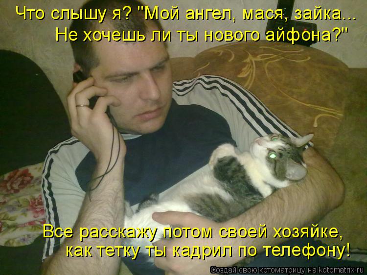 Котоматрица: как тетку ты кадрил по телефону! Что слышу я? "Мой ангел, мася, зайка... Не хочешь ли ты нового айфона?" Все расскажу потом своей хозяйке,