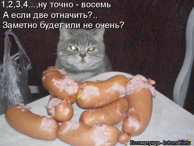 Котоматрица: А если две отначить?.. Заметно будет или не очень? 1,2,3,4...,ну точно - восемь