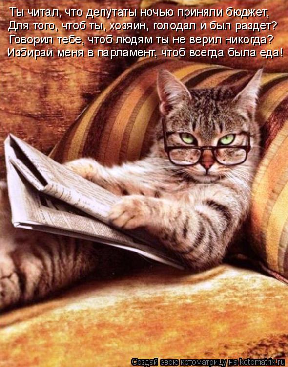 Котоматрица: Ты читал, что депутаты ночью приняли бюджет, Для того, чтоб ты, хозяин, голодал и был раздет? Говорил тебе, чтоб людям ты не верил никогда? Изб