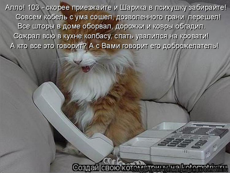 Котоматрица: Алло! 103 - скорее приезжайте и Шарика в психушку забирайте! Совсем кобель с ума сошел, дозволенного грани  перешел! Все шторы в доме оборвал, д