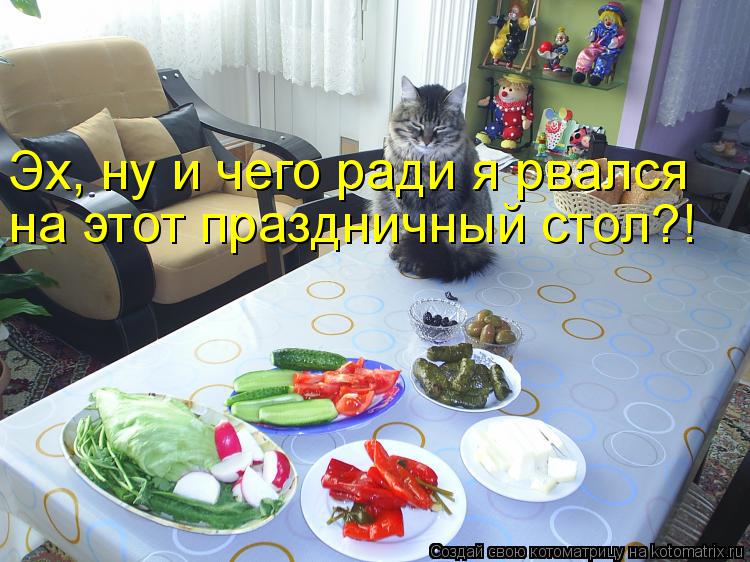 Котоматрица: Эх, ну и чего ради я рвался на этот праздничный стол?!