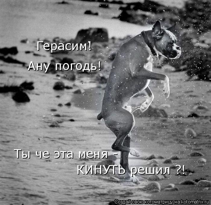 Герасим! Ану погодь! Ты че эта меня - КИНУТЬ решил ?!... Котоматрица: Герасим! Ану погодь! Ты че эта меня - КИНУТЬ решил ?!