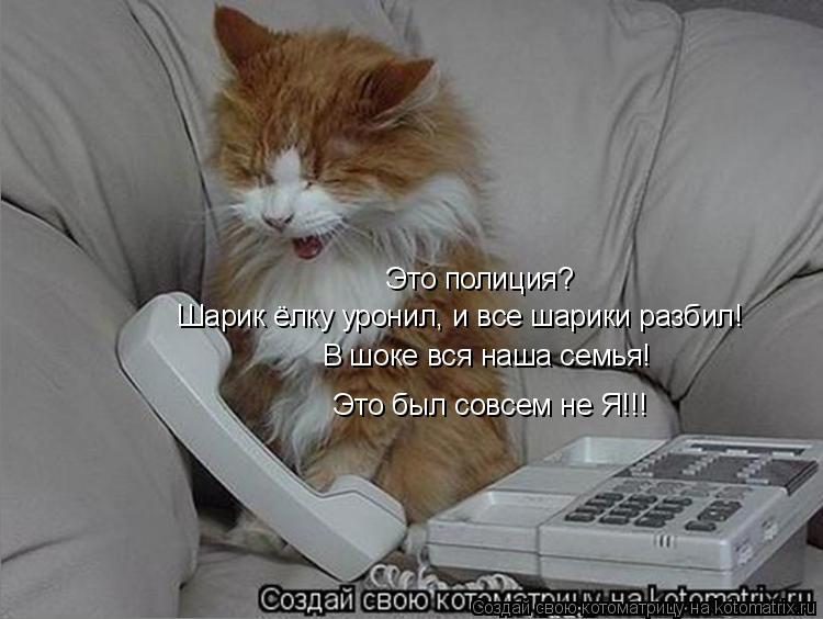 Котоматрица: Это полиция? Шарик ёлку уронил, и все шарики разбил! В шоке вся наша семья! Это был совсем не Я!!!