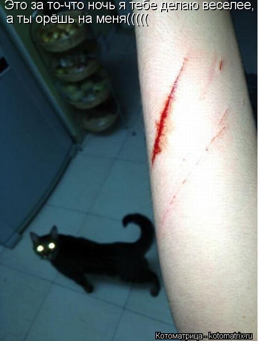 Котоматрица: Это за то-что ночь я тебе делаю веселее, а ты орёшь на меня(((((