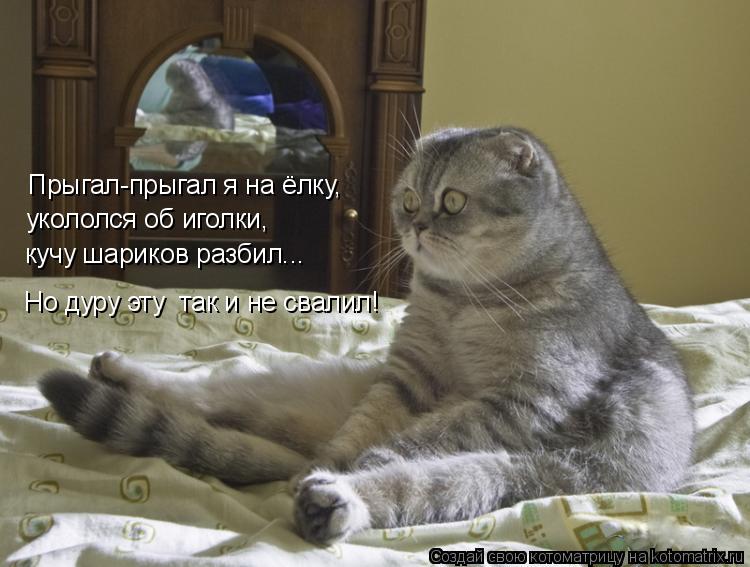 Котоматрица: Прыгал-прыгал я на ёлку,  укололся об иголки, кучу шариков разбил... Но дуру эту  так и не свалил!