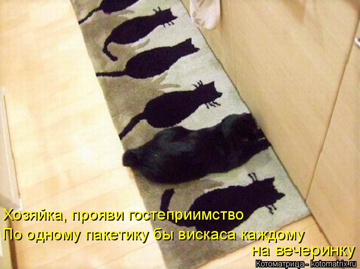 Котоматрица: Хозяйка, прояви гостеприимство  По одному пакетику бы вискаса каждому на вечеринку