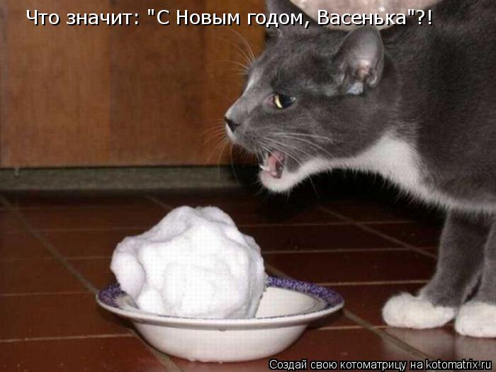 Что значит: "С Новым годом, Васенька"?!... Котоматрица: Что значит: "С Новым годом, Васенька"?!