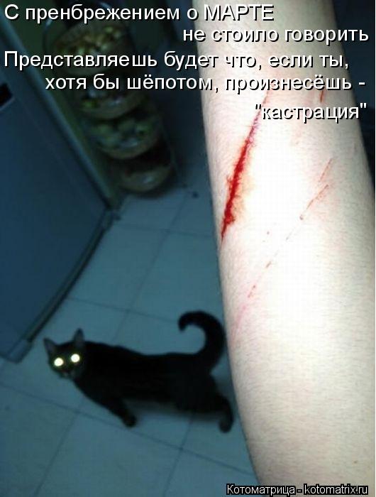 Котоматрица: С пренбрежением о МАРТЕ не стоило говорить хотя бы шёпотом, произнесёшь - "кастрация" Представляешь будет что, если ты,