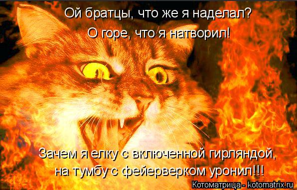 Котоматрица: на тумбу с фейерверком уронил!!! Зачем я елку с включенной гирляндой,  Ой братцы, что же я наделал? О горе, что я натворил!