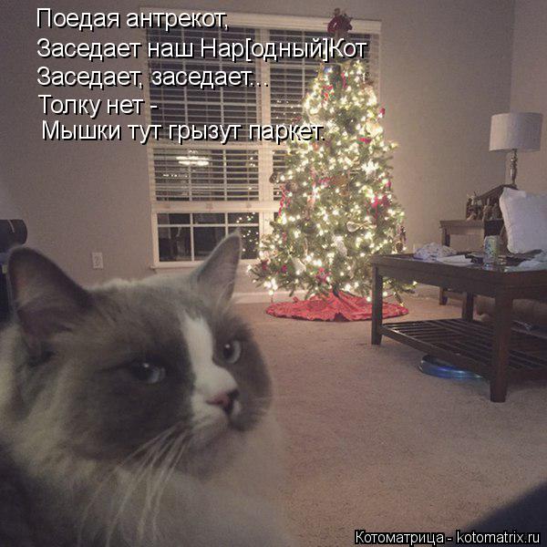 Котоматрица: Поедая антрекот, Заседает наш Нар[одный]Кот Заседает, заседает... Толку нет -  Мышки тут грызут паркет.