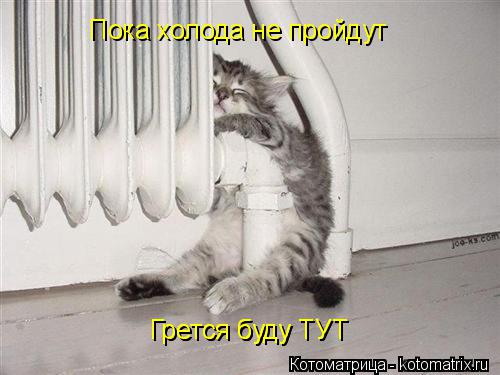 Котоматрица: Пока холода не пройдут Грется буду ТУТ Грется буду ТУТ