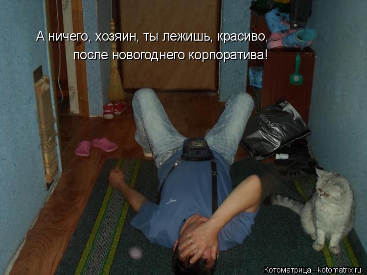 Котоматрица: А ничего, хозяин, ты лежишь, красиво, после новогоднего корпоратива!