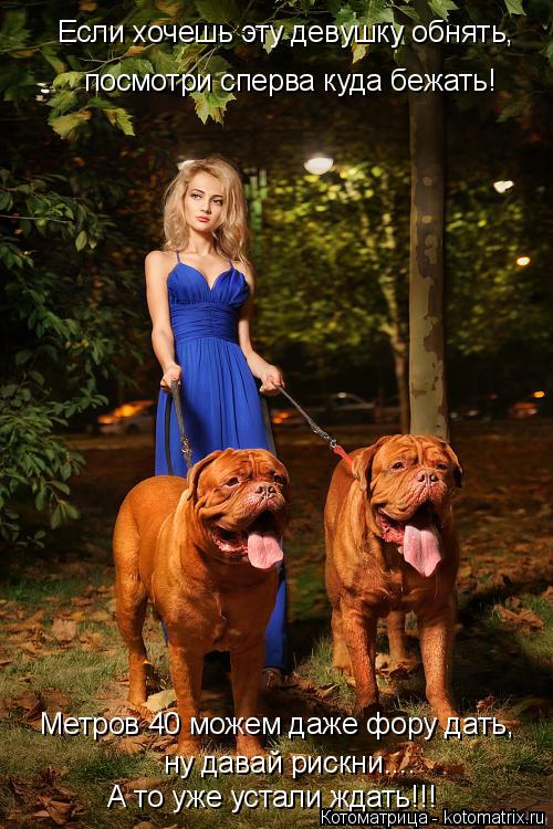 Котоматрица: Если хочешь эту девушку обнять, посмотри сперва куда бежать! Метров 40 можем даже фору дать, ну давай рискни.... А то уже устали ждать!!!