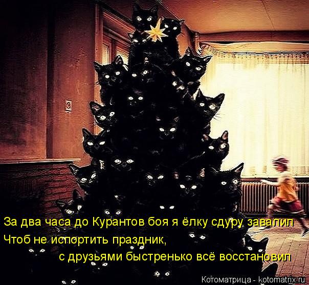 Котоматрица: За два часа до Курантов боя я ёлку сдуру завалил Чтоб не испортить праздник, с друзьями быстренько всё восстановил
