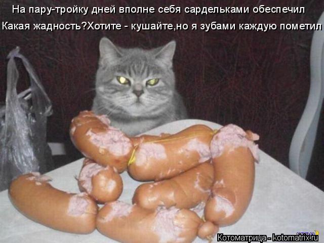 Котоматрица: На пару-тройку дней вполне себя сардельками обеспечил Какая жадность?Хотите - кушайте,но я зубами каждую пометил