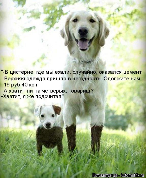 Котоматрица: "-В цистерне, где мы ехали, случайно, оказался цемент. Верхняя одежда пришла в негодность. Одолжите нам 19 руб 40 коп -А хватит ли на четверых, то