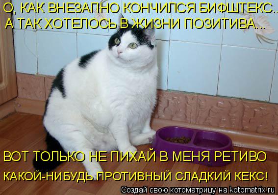 О, КАК ВНЕЗАПНО КОНЧИЛСЯ БИФШТЕКС... А ТАК ХОТЕЛОСЬ В ЖИЗНИ ПОЗИТИВА... ВОТ ТОЛЬКО НЕ ПИХАЙ В МЕНЯ РЕ... Котоматрица: О, КАК ВНЕЗАПНО КОНЧИЛСЯ БИФШТЕКС... А ТАК ХОТЕЛОСЬ В ЖИЗНИ ПОЗИТИВА... ВОТ ТОЛЬКО НЕ ПИХАЙ В МЕНЯ РЕТИВО КАКОЙ-НИБУДЬ ПРОТИВНЫЙ СЛАДКИЙ КЕКС!