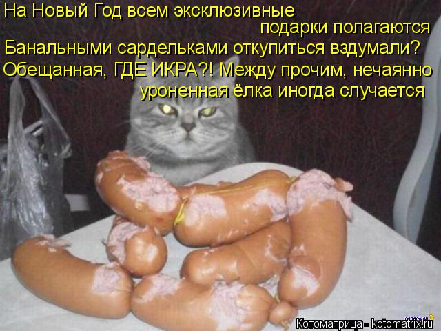 На Новый Год всем эксклюзивные подарки полагаются Банальными сардельками откупиться вздумали? уроненн... Котоматрица: На Новый Год всем эксклюзивные подарки полагаются Банальными сардельками откупиться вздумали? уроненная ёлка иногда случается Обещанная,