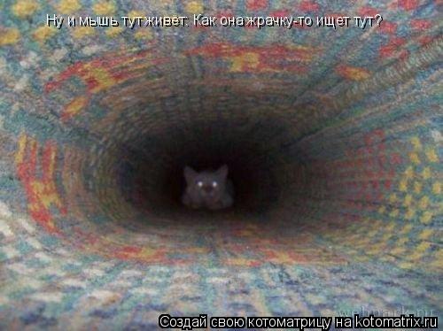 Ну и мышь тут живёт: Как она жрачку-то ищет тут?... Котоматрица: Ну и мышь тут живёт: Как она жрачку-то ищет тут?