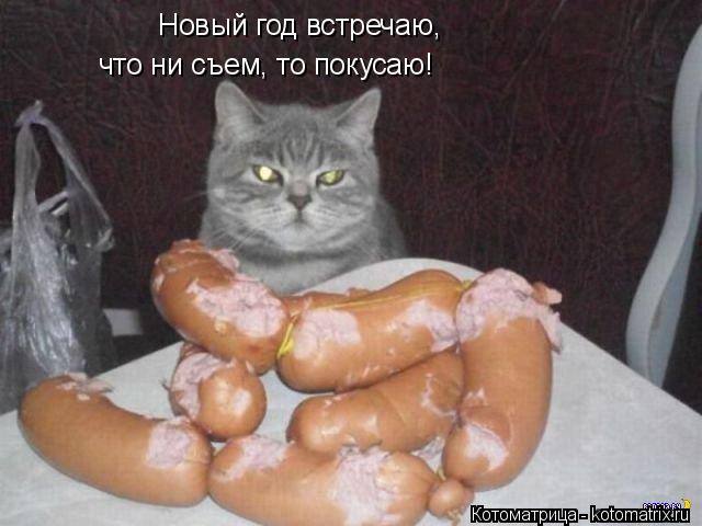 Новый год встречаю, что ни съем, то покусаю!... Котоматрица: Новый год встречаю, что ни съем, то покусаю!
