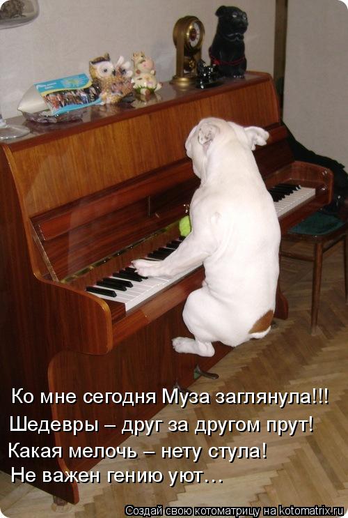 Ко мне сегодня Муза заглянула!!! Шедевры – друг за другом прут! Какая мелочь – нету стула! Не важен г... Котоматрица: Ко мне сегодня Муза заглянула!!! Шедевры – друг за другом прут! Какая мелочь – нету стула! Не важен гению уют…
