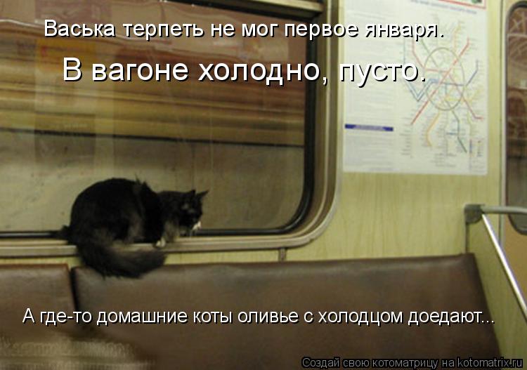 Котоматрица: Васька терпеть не мог первое января. В вагоне холодно, пусто. А где-то домашние коты оливье с холодцом доедают...