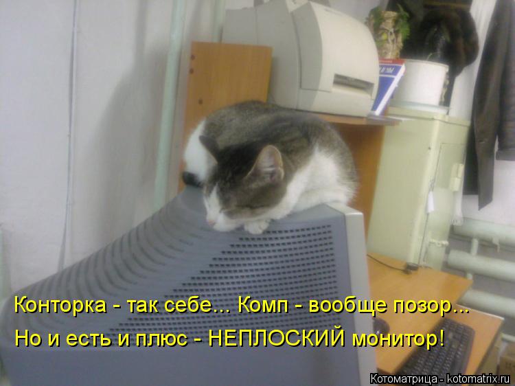 Конторка - так себе... Комп - вообще позор... Но и есть и плюс - НЕПЛОСКИЙ монитор!... Котоматрица: Конторка - так себе... Комп - вообще позор... Но и есть и плюс - НЕПЛОСКИЙ монитор!