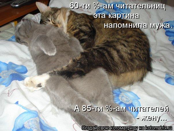 60-ти %-ам читательниц эта картина напомнила мужа. А 85-ти %-ам читателей - жену...... Котоматрица: 60-ти %-ам читательниц эта картина напомнила мужа. А 85-ти %-ам читателей - жену...