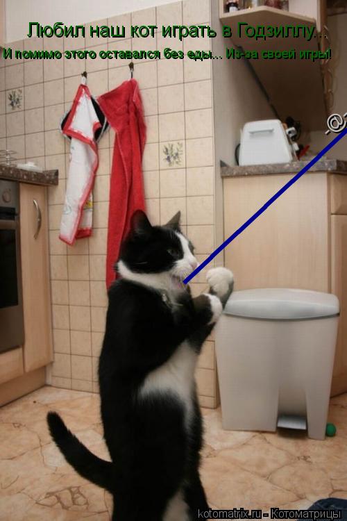 _________________________________ -@- Любил наш кот играть в Годзиллу... И помимо этого оставался без... Котоматрица: _________________________________ -@- Любил наш кот играть в Годзиллу... И помимо этого оставался без еды... Из-за своей игры!
