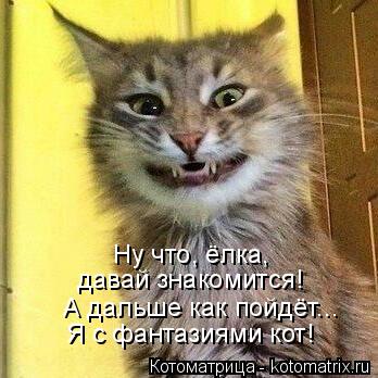 А дальше как пойдёт... Ну что, ёлка, давай знакомится! Я с фантазиями кот!... Котоматрица: А дальше как пойдёт... Ну что, ёлка, давай знакомится! Я с фантазиями кот!