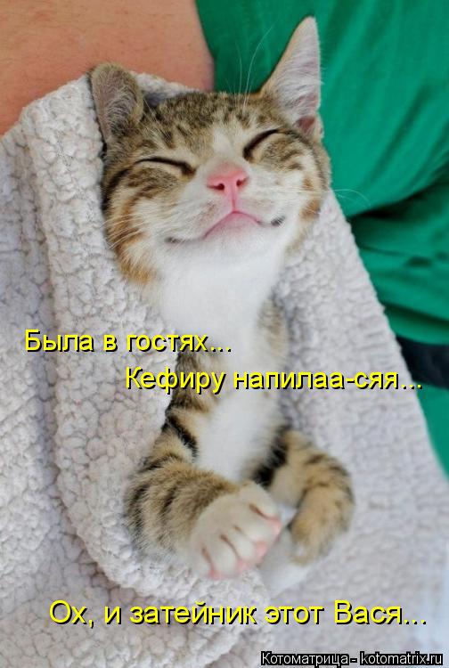 Была в гостях... Кефиру напилаа-сяя... Ох, и затейник этот Вася...... Котоматрица: Была в гостях... Кефиру напилаа-сяя... Ох, и затейник этот Вася...