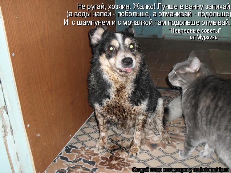 Не ругай, хозяин. Жалко! Лучше в ванну запихай (а воды налей - побольше, а отмачивай - подольше) И с... Котоматрица: Не ругай, хозяин. Жалко! Лучше в ванну запихай (а воды налей - побольше, а отмачивай - подольше) И с шампунем и с мочалкой там подольше отмывай.